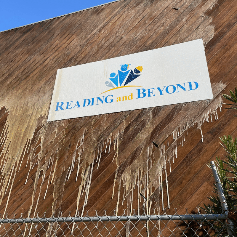 Reading and Beyond